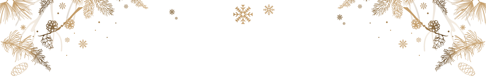 Weihnachtsgutscheine von V&K Optik Kuhnert